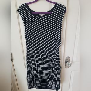 Loft cap sleeve black and white dress